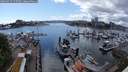 ./images/victoria/wharf/20240529/wharf20240529_155500.jpg