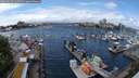 ./images/victoria/wharf/20240603/wharf20240603_134501.jpg