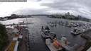 ./images/victoria/wharf/20240603/wharf20240603_172000.jpg