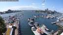 ./images/victoria/wharf/20240604/wharf20240604_143000.jpg