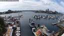 ./images/victoria/wharf/20240630/wharf20240630_145500.jpg