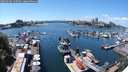 ./images/victoria/wharf/20240702/wharf20240702_135500.jpg