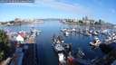 ./images/victoria/wharf/20240703/wharf20240703_081500.jpg