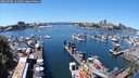 ./images/victoria/wharf/20240706/wharf20240706_131000.jpg