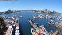 ./images/victoria/wharf/20240707/wharf20240707_124500.jpg