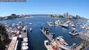 ./images/victoria/wharf/20240707/wharf20240707_130000.jpg