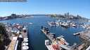 ./images/victoria/wharf/20240707/wharf20240707_134500.jpg