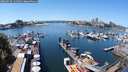 ./images/victoria/wharf/20240710/wharf20240710_131500.jpg