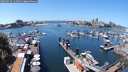 ./images/victoria/wharf/20240712/wharf20240712_131501.jpg