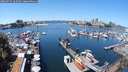 ./images/victoria/wharf/20240715/wharf20240715_122500.jpg