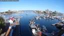 ./images/victoria/wharf/20240717/wharf20240717_083500.jpg