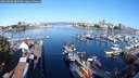 ./images/victoria/wharf/20240804/wharf20240804_085000.jpg