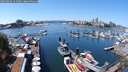 ./images/victoria/wharf/20240804/wharf20240804_131500.jpg