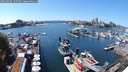 ./images/victoria/wharf/20240805/wharf20240805_135500.jpg