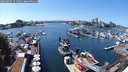 ./images/victoria/wharf/20240805/wharf20240805_141500.jpg