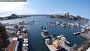 ./images/victoria/wharf/20240815/wharf20240815_145501.jpg