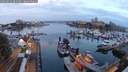 ./images/victoria/wharf/20240826/wharf20240826_061500.jpg