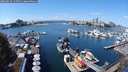 ./images/victoria/wharf/20240828/wharf20240828_125501.jpg