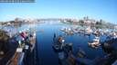 ./images/victoria/wharf/20240829/wharf20240829_081500.jpg