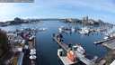 ./images/victoria/wharf/20240921/wharf20240921_140500.jpg