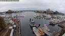 ./images/victoria/wharf/20240928/wharf20240928_145500.jpg