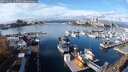 ./images/victoria/wharf/20241031/wharf20241031_115503M.jpg