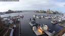 ./images/victoria/wharf/20241114/wharf20241114_123502M.jpg