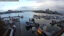 ./images/victoria/wharf/20241122/wharf20241122_081502M.jpg