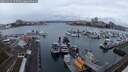 ./images/victoria/wharf/20241213/wharf20241213_155509M.jpg