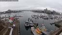 ./images/victoria/wharf/20250107/wharf20250107_130508M.jpg