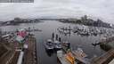 ./images/victoria/wharf/20250107/wharf20250107_152509M.jpg