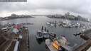 ./images/victoria/wharf/20250108/wharf20250108_131508M.jpg