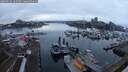 ./images/victoria/wharf/20250113/wharf20250113_162508M.jpg