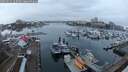 ./images/victoria/wharf/20250114/wharf20250114_163509M.jpg