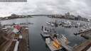 ./images/victoria/wharf/20250130/wharf20250130_154009M.jpg