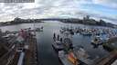 ./images/victoria/wharf/20250209/wharf20250209_153009M.jpg