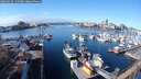 ./images/victoria/wharf/20250214/wharf20250214_114507M.jpg