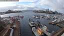 ./images/victoria/wharf/20250214/wharf20250214_145009M.jpg