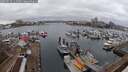 ./images/victoria/wharf/20250215/wharf20250215_112508M.jpg