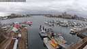 ./images/victoria/wharf/20250215/wharf20250215_115507M.jpg