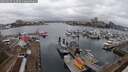 ./images/victoria/wharf/20250215/wharf20250215_124509M.jpg