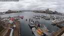 ./images/victoria/wharf/20250215/wharf20250215_125509M.jpg