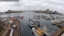 ./images/victoria/wharf/20250215/wharf20250215_131009M.jpg