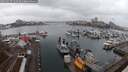 ./images/victoria/wharf/20250215/wharf20250215_134009M.jpg