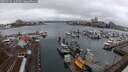 ./images/victoria/wharf/20250215/wharf20250215_145509M.jpg