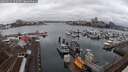 ./images/victoria/wharf/20250215/wharf20250215_155008M.jpg