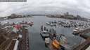 ./images/victoria/wharf/20250215/wharf20250215_164009M.jpg