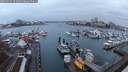 ./images/victoria/wharf/20250215/wharf20250215_172509M.jpg