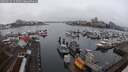 ./images/victoria/wharf/20250216/wharf20250216_153509M.jpg