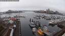 ./images/victoria/wharf/20250217/wharf20250217_105009M.jpg